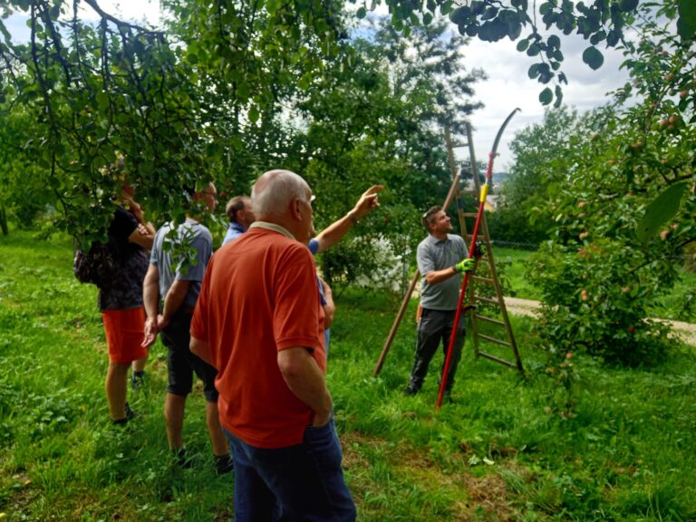Schnittkurs im Oktober